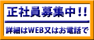 正社員募集中